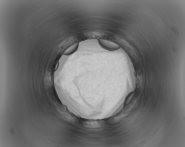 X0000111600381200908131408