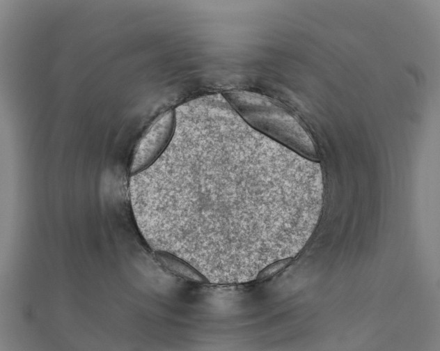 X0000111600384200908131408