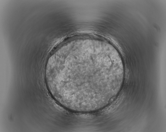 X0000111600385200908131408
