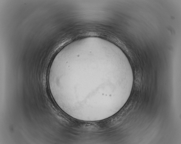 X0000111600386200908131408