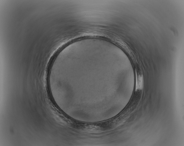 X0000111600387200908131408