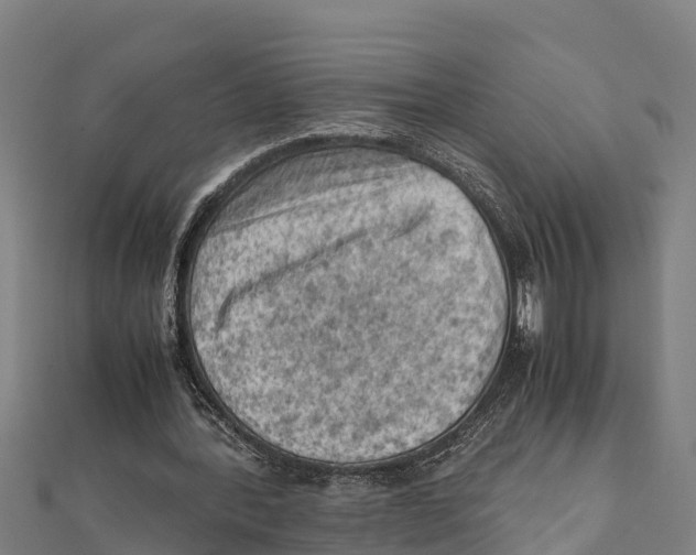 X0000111600388200908131408
