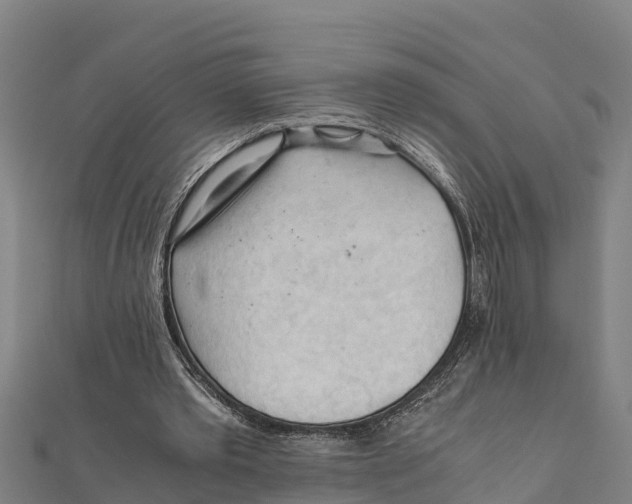X0000111600389200908131408