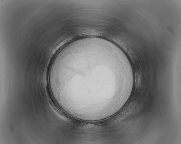 X0000111600390200908131408
