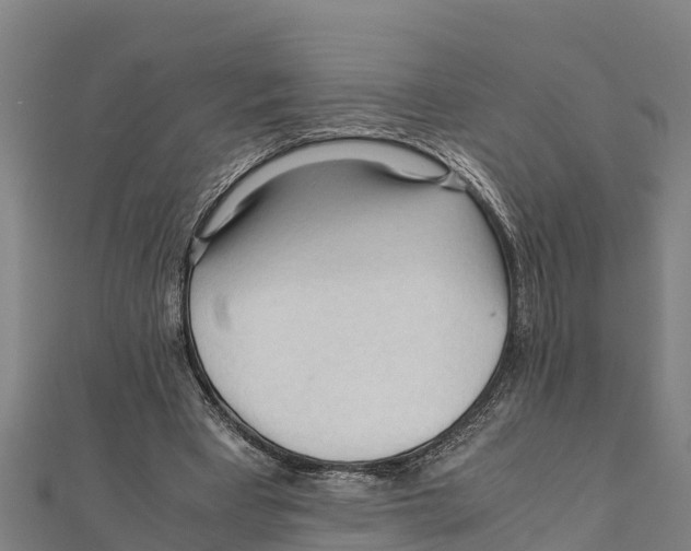 X0000111600393200908131408