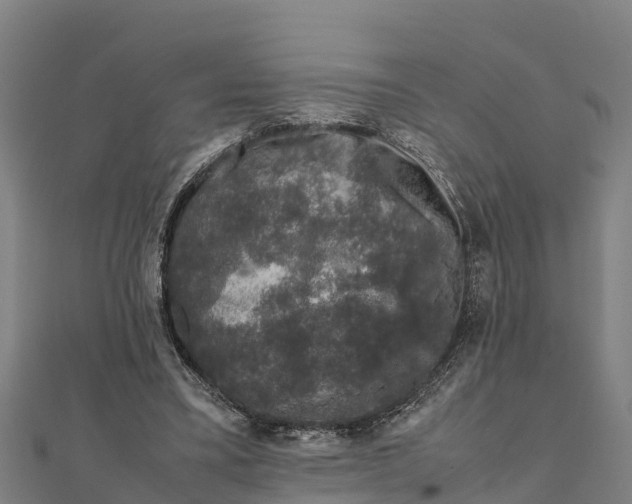 X0000111600395200908131408
