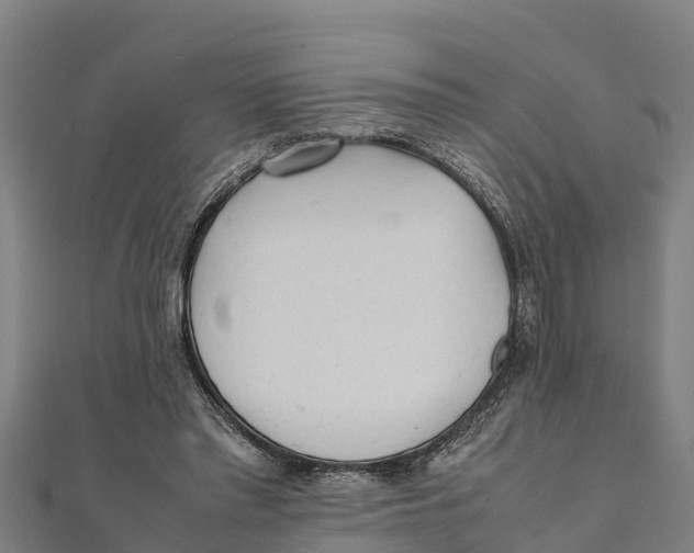 X0000111600397200908131408