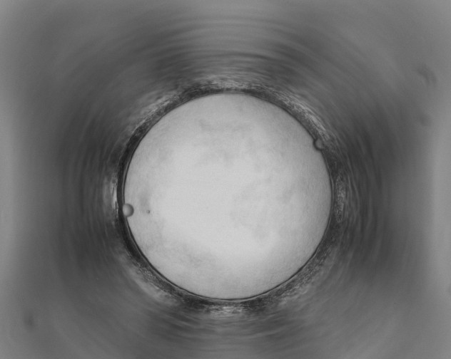 X0000111600398200908131408
