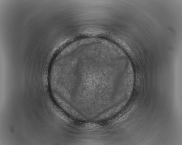 X0000111600399200908131408