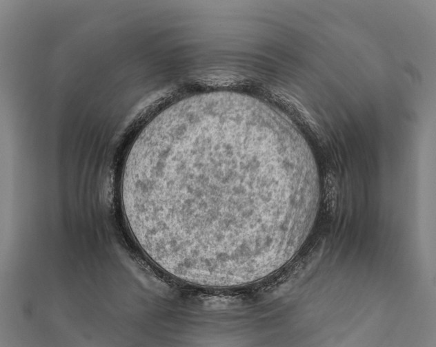 X0000111600400200908131408