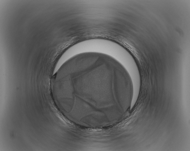 X0000111600401200908131408