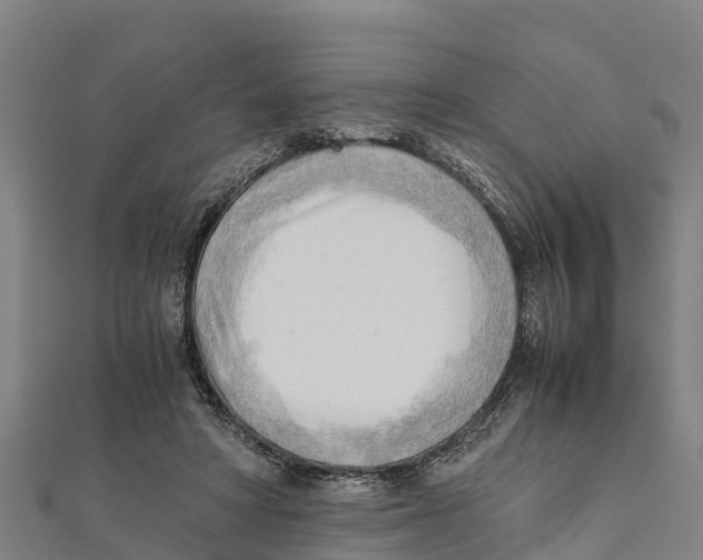 X0000111600402200908131408