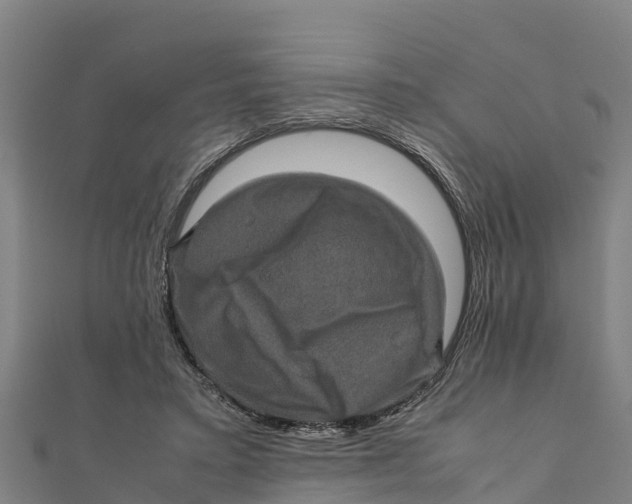 X0000111600403200908131407