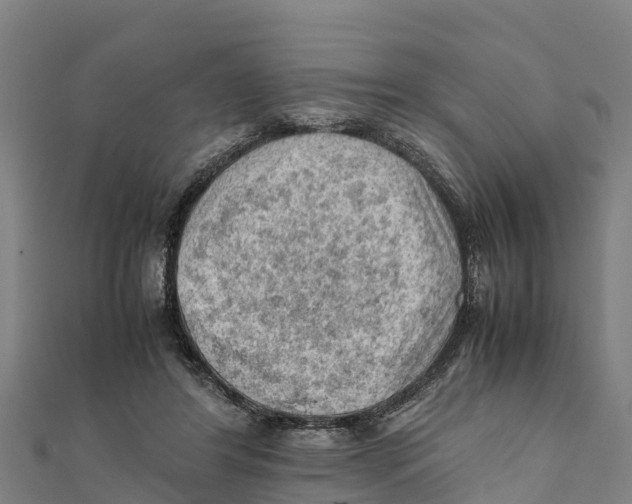 X0000111600404200908131407