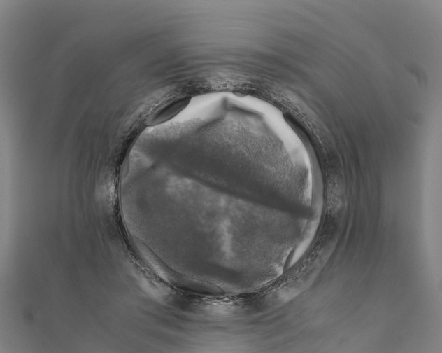 X0000111600405200908131407