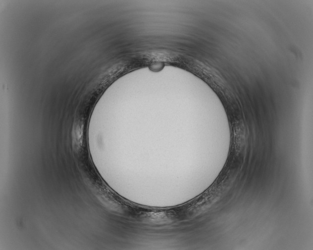 X0000111600406200908131407