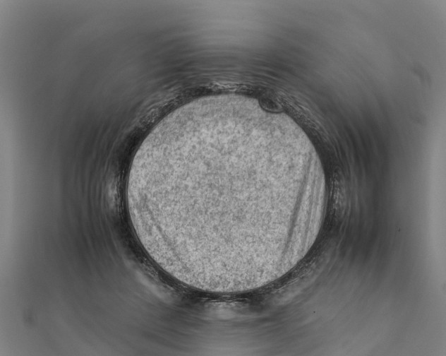 X0000111600408200908131407