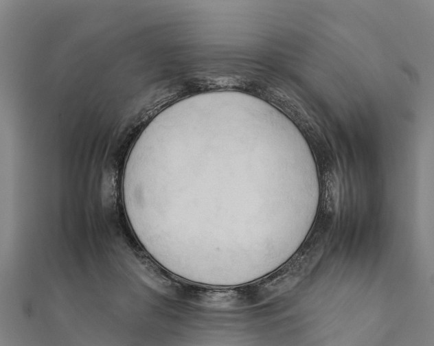 X0000111600410200908131407