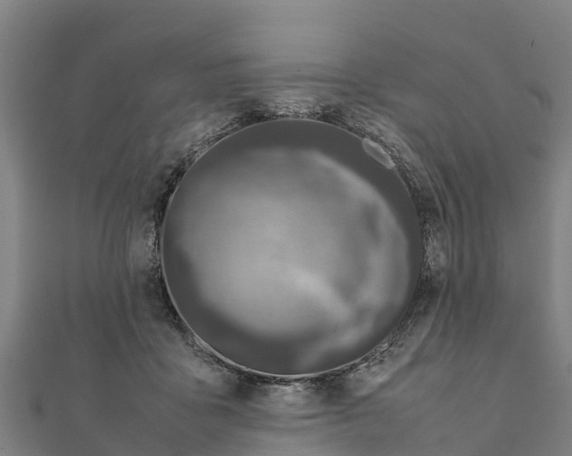 X0000111600411200908131407