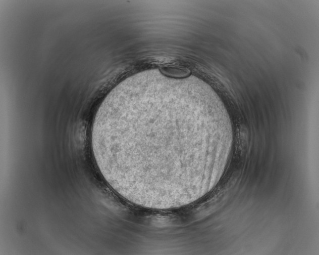 X0000111600412200908131407