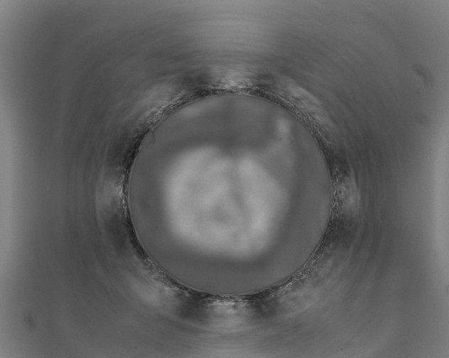 X0000111600415200908131407