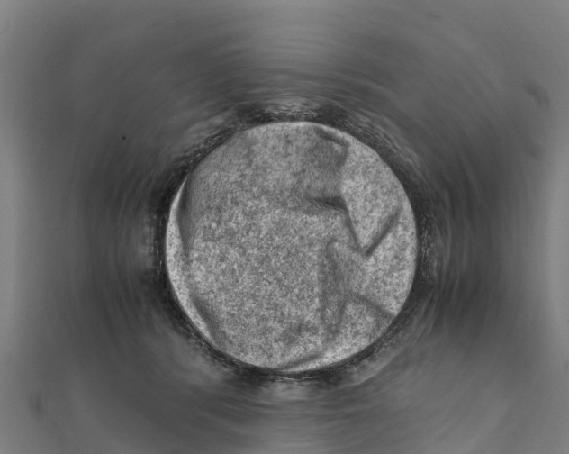 X0000111600416200908131407