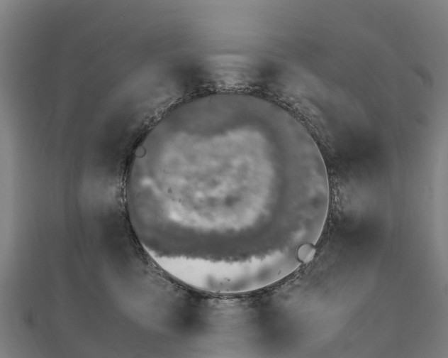 X0000111600419200908131407