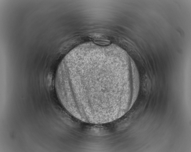 X0000111600420200908131407