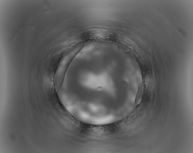 X0000111600423200908131407