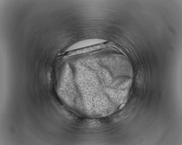 X0000111600424200908131407