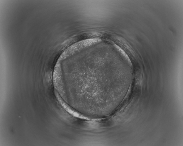 X0000111600425200908131407