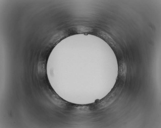 X0000111600426200908131407