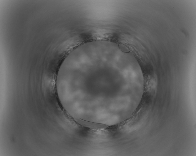 X0000111600427200908131407