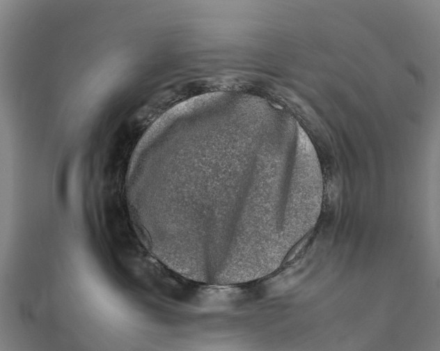 X0000111600429200908131407