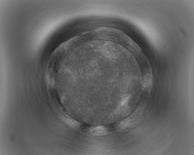X0000111600431200908131407