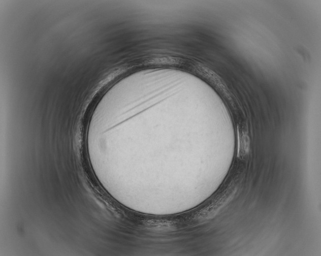X0000111600435200908131406