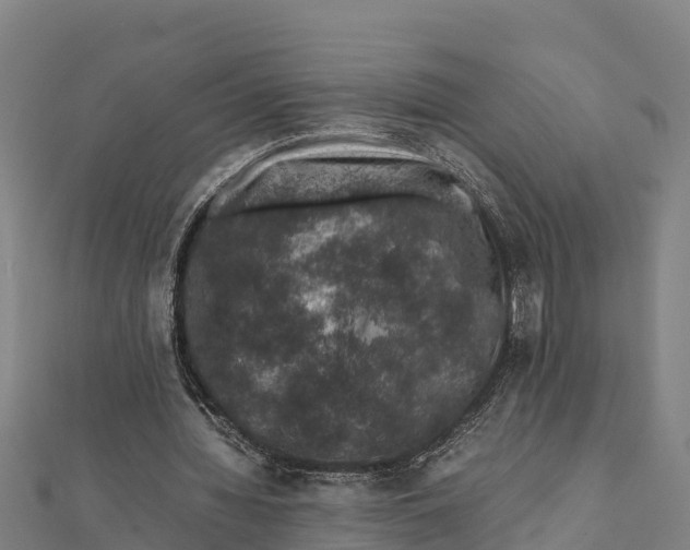 X0000111600436200908131406