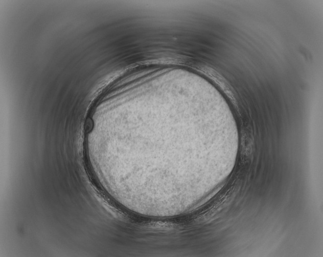 X0000111600437200908131406