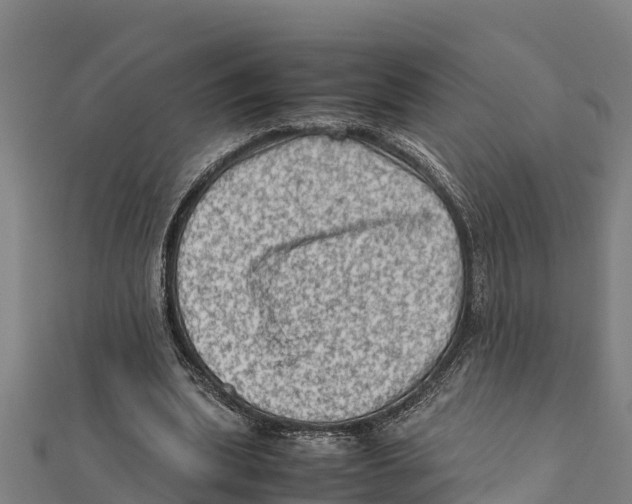 X0000111600439200908131406