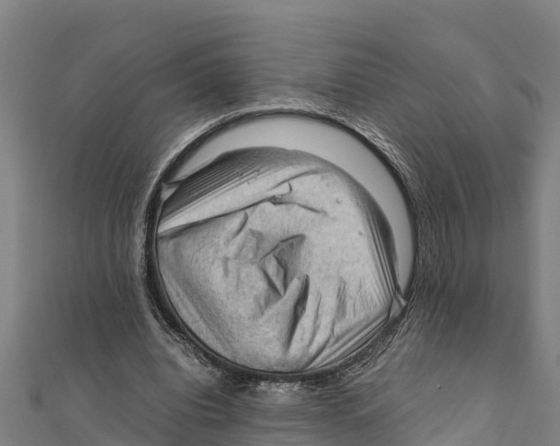 X0000111600440200908131406