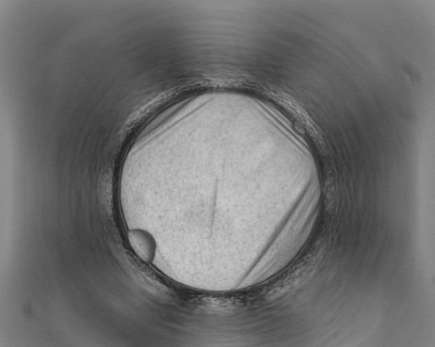 X0000111600442200908131407