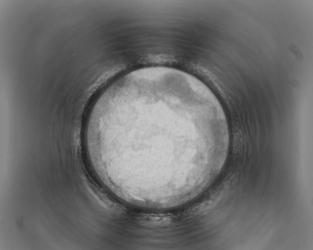 X0000111600443200908131407