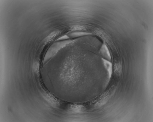 X0000111600444200908131407