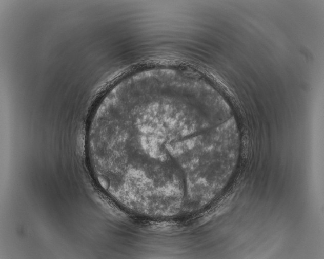 X0000111600446200908131407