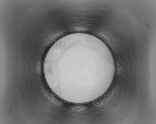 X0000111600447200908131407