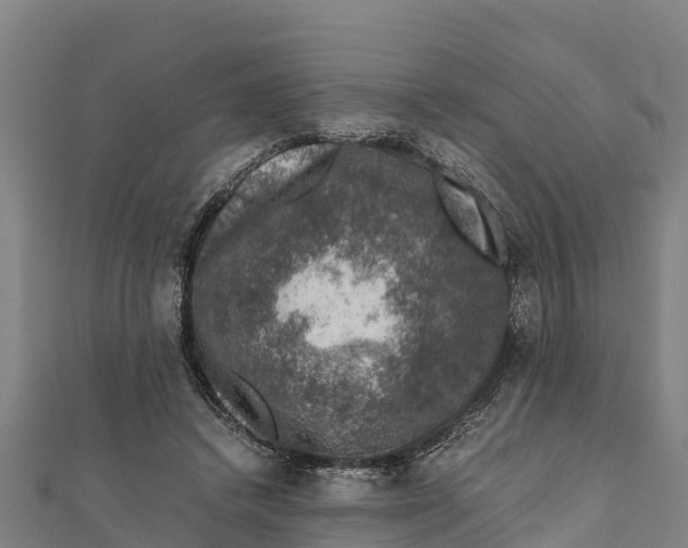 X0000111600448200908131407