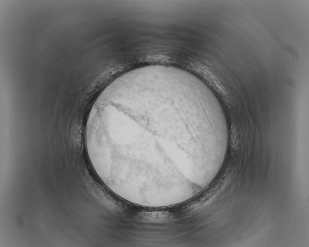 X0000111600449200908131407
