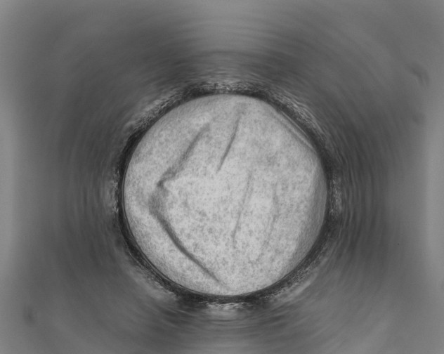 X0000111600450200908131407
