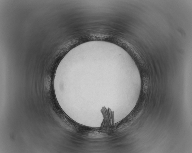 X0000111600451200908131407