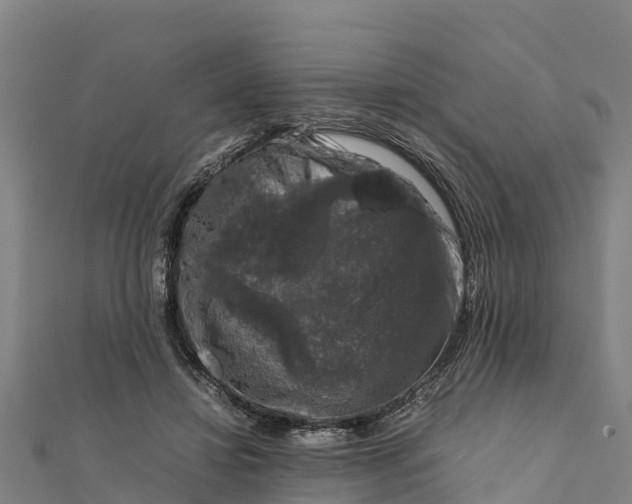 X0000111600452200908131407